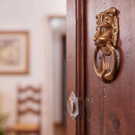 Апартаменты La Mi Casa A Пиза Экстерьер фото
